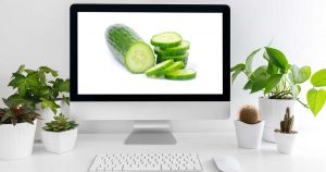 Frische Talk - Nackt oder verpackt? Die Gurke.